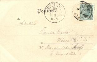 1900 Art Nouveau lady litho. Theo. Stroefer's Kunstverlag, Nürnberg - Postkarte im modernen Sty...