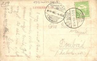 1914 Csucsa, Ciucea; Bäck nyaraló. W.L. Bp. 7532. Fried Zsigmond kiadása / villa (EK)