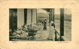1913 Élesd, Alesd; Bethlen üdülőhely terasza. W.L. Bp. 7521. Sándor Mór kiadása / holiday resort, villas terrace (EK)