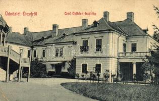 1912 Élesd, Alesd; Gróf Bethlen kastély. W. L. 288. Kiadja Sándor Mór / castle (EK)