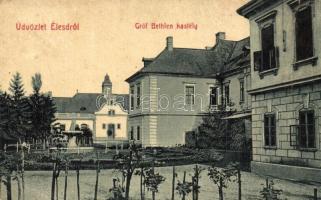 1912 Élesd, Alesd; Gróf Bethlen kastély. W. L. 289. Kiadja Sándor Mór / castle (fa)