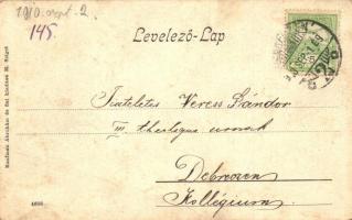 1910 Szlatinafüred, Slatina (Aknaszlatina, Máramaros); Pável sósfürdő, Félix villa. Kaufmann Ábrahám...