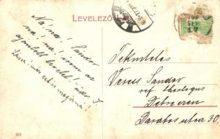 1908 Zsibó, Jibou; Báró Wesselényi kastély, Járásbíróság, vasútállomás, Állami iskola, Merza Testvér...