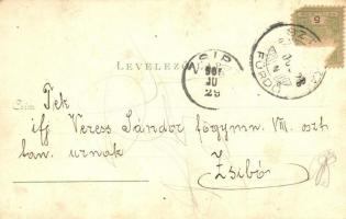 1903 Sztojkafalva, Sztójka, Stoiceni; Forrás ház és étterem, Cibles hegység, Anna lak, Fürdőház, Gró...