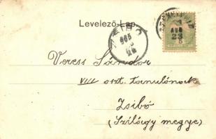 1905 Székelyhíd, Sacueni; Vasútállomás és vendéglő, Tunyoghy Lajos üzlete és saját kiadása / railway...
