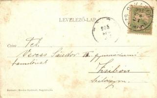 1905 Nagybánya, Baia Mare; Kereszthegy, ház. Kovács Gyula kiadása / Dealul Crucii (EK)