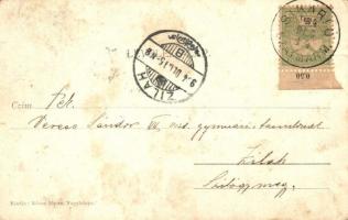 1904 Nagybánya, Baia Mare; Ligeti részlet a festő iskolával, festőállványok. Kiadja Rózsa Simon / ar...