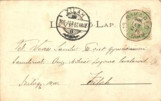 1906 Nagybánya, Baia Mare; liget, Kovács Gyula kiadása / park (EK)