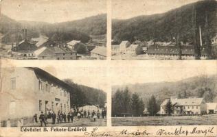 1906 Feketeerdő, Padurea Neagra; üveggyári részletek / glass factory