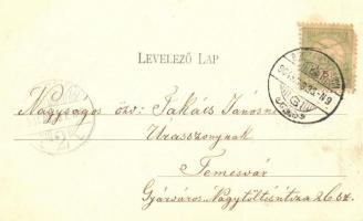 1904 Besztercebánya, Banská Bystrica; Gereb gyámoszlopai (faúsztatáshoz használt vízi építmény). Ivá...