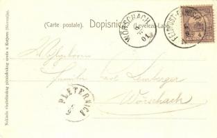 1901 Kutjevo, Szecessziós virágos litho keret / Art Nouveau litho frame with flowers