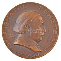 Telcs Ede (1872-1948) 1928. "Ignatius Fekete" egyoldalas Br emlékérem (88,05g/60mm) T:2 / Hungary 1928. "Ignatius Fekete" one-sided Br commemorative medallion. "IGNATIUS FEKETE - AETATIS SUAE - LXX" Sign.: Ede Telcs (88,05g/60mm) C:XF HP 6190.