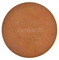 Beck Ö. Fülöp (1873-1945) 1935. "Dr. Beck Salamon" egyoldalas Br plakett (97,30g/60mm) T:2...