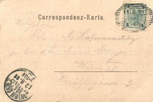 1901 Krems an der Donau, Wienerbrücke, Tabakfabrik, Franz Fahrthofer Gasthaus / bridge, tobacco shop...