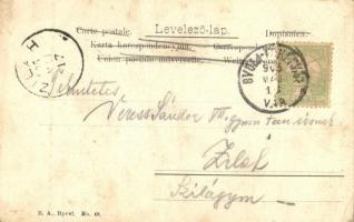 1905 Varsányi Irén. B. A. No. 48. (EK)