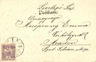 1900 Februar. Art Nouveau postcard