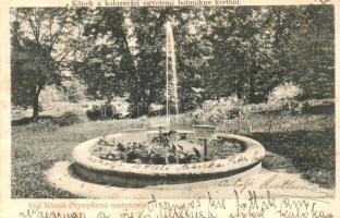 1908 Kolozsvár, Cluj; Egyetem botanikus kertje, Vízi rózsák (Nympheae) medencéje, vízitök / universitys botanical garden, water roses fountain, Nuphar