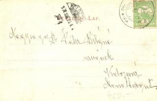 1908 Kolozsvár, Cluj; Egyetem botanikus kertje, Vízi rózsák (Nympheae) medencéje, vízitök / universi...