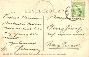 1911 Érendréd, Ér-Endréd, Andrid; Falussy Árpád kúriája és saját kezű levele Berey József református...