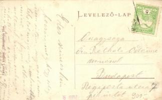 Beregszász, Berehove; Vármegyei sétakert / county park