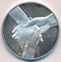 Fritz Mihály (1947-) 1998. "100 éves a Szaktanács" jelzett Ag emlékérem (34,3g/0.925/42,5mm) T:2 (eredetileg PP) patina