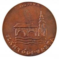 Borsos Miklós (1906-1990) DN "Szántódpuszta" Br emlékérem (96mm) T:2