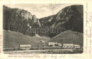 1901 Sztracenai-völgy, Stracenovska dolina, Stratena; tájrészlet. Fejér B. kiadása / general view