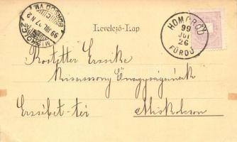 Székelyudvarhely, Odorheiu Secuiesc; Homoród fürdő, Székely milleniumi emlékoszlop, első utca a Koss...