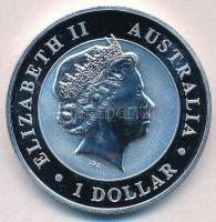 Ausztrália 2015. 1$ Ag "Ékfarkú sas" (1oz/0.999) T:PP
Australia  2015. 1 Dollar Ag "...