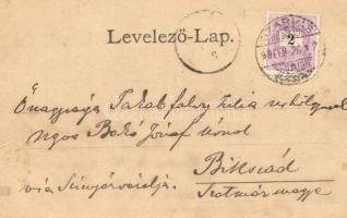 1899 Szarvas, gimnázium, Árpád szálló, Grófi és Gréti kastélyok. Art Nouveau, floral (EK)