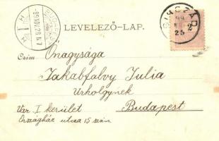 1899 Szatmárnémeti, Szatmár, Satu Mare; Igazságügyi palota, Neuschlosz fűrésztelep / Palace of Justi...