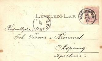 1898 Fehértemplom, Ung. Weisskirchen, Bela Crkva; Királyi törvényszék, Cs. és kir. tiszti lakás / co...