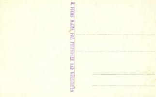 Bad Wörishofen, street view, Villa Austria. R. Fuchs Nachf. Frz. Pimpfinger photo