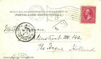 1901 Philadelphia, Strawberry Hill Bridge. floral