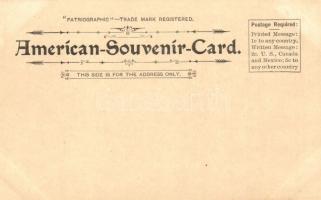 Washington, Scott Building, US Soldiers Home, US Treasury. American Souvenir Card Co. 9. Art Nouveau...