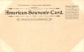 Washington, White House, Freedom's Memorial, Pennsylvania Avenue. American Souvenir Card Co. 3....