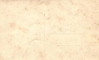 WWI German military, soldiers' building a camp. photo (fl)