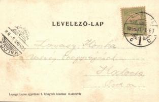 1905 Kolozsvár, Cluj; Városi polgári fiú iskola. Kiadja Lepage Lajos / boys school (EK)