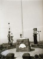 cca 1920-1939 Országzászlók, 5 db fotónegatív, 4,5×6 és 6×9 cm