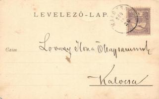 1900 Bátya, a bátyai Zsidórév, Duna parti rakodó télen. photo (EM)