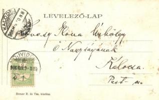 1906 Újvidék, Novi Sad; Városháza, piaci árusok, lovaskocsik. Kiadja Breuer R. és Társa / town hall,...