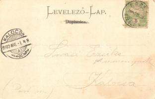 1902 Eszék, Esseg, Osijek; dolnji grad / Unterstadt / general view (EK)