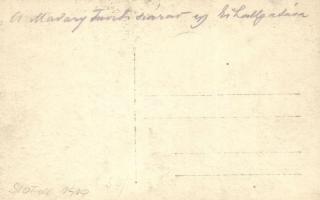 1919 Siófok, Madary Antal tiszti század egy kihallgatáson. Darutollas tisztek / Hungarian officer sq...