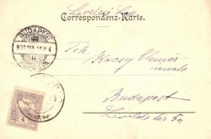 1900 Brno, Brünn; Ferdinandsgasse / street view, shops