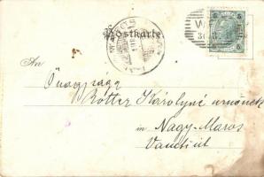 1904 Klamm bei Weiz, Weizklamm; Druck Senefelder (fa)