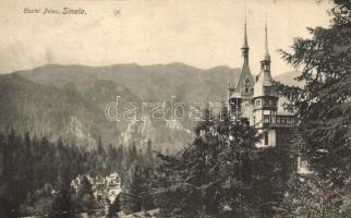 Sinaia, Castelul Peles. Edit. J. Schwarzfeld / castle (EK)