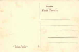 Vajdahunyad, Hunedoara; Vasgyár, vaskohók, igazgatósági épület / Furnalele uzinelor de fier, Edifici...