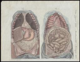4 db régi metszet, litográfia, színezett rézmetszet, acélmetszet, az egyik paszpartuban, 27x35 cm és...