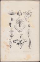 4 db régi metszet, litográfia, színezett rézmetszet, acélmetszet, az egyik paszpartuban, 27x35 cm és...