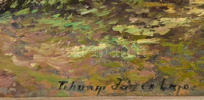 Tihanyi János Lajos (1892-1957): Kilátás a tengerre. Olaj, vászon, jelzett, fa keretben, 80×60 cm